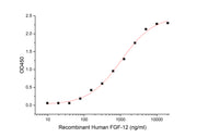 Recombinant Human FGF R3 (C-Fc)