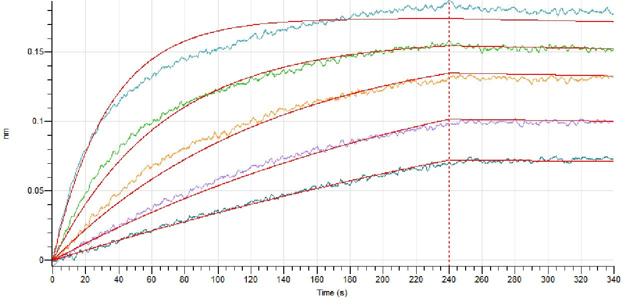 Recombinant Human IL-4 RA (C-mFc)