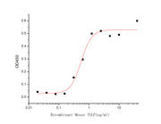 Recombinant Mouse TSLP (C-Fc)