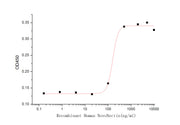 Recombinant Human NovoNectin