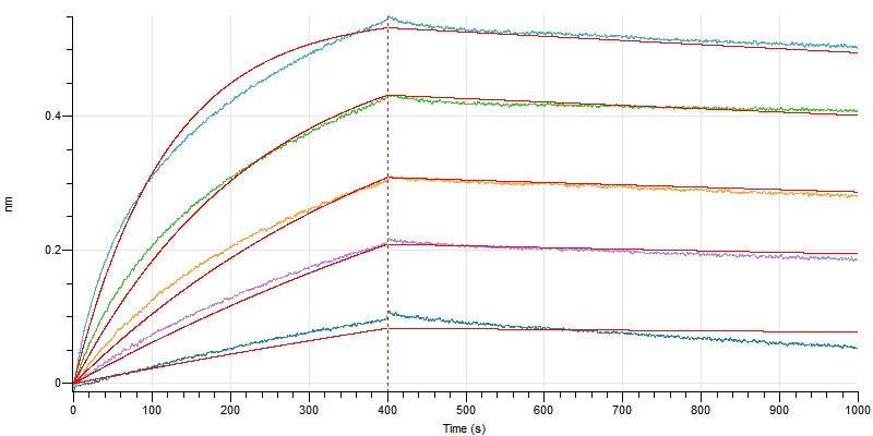 Recombinant Cynomolgus CD73 (C-6His)