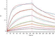 Recombinant Human CD40L (Mammalian)