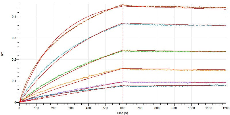 Recombinant Mouse CD73 (C-6His)