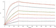 Recombinant Human Nectin-4 (C-6His)