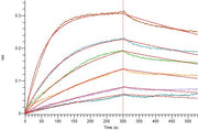 Recombinant Human IL-2RA (C-Fc)