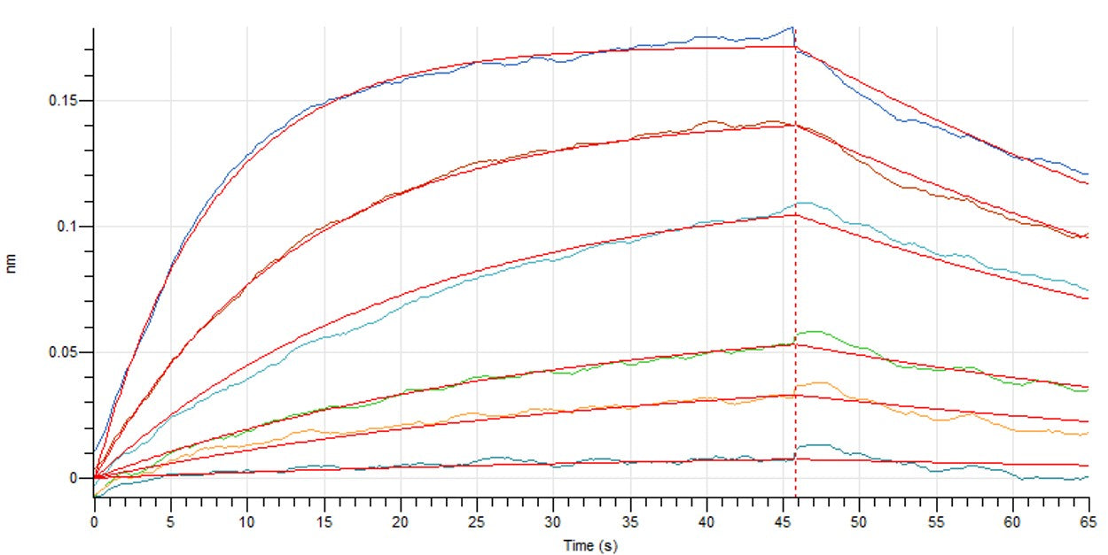 Recombinant Human TSLP