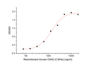 Recombinant Human OX40 (C-6His)