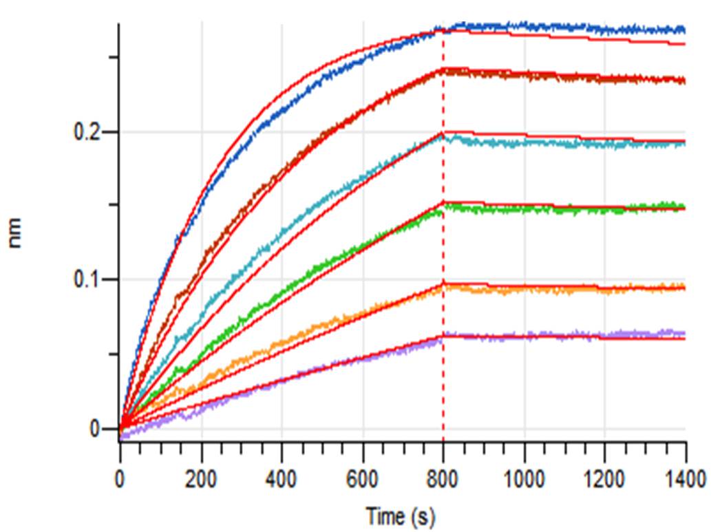Recombinant Human B7-H3 (C-6His)
