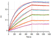 Recombinant Human B7-H3 (C-6His)