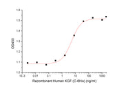Recombinant Human KGF (C-6His)