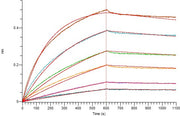 Recombinant Human TROP-2 (C-6His)