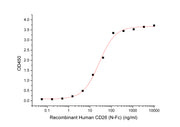 Recombinant Human CD26 (N-Fc)