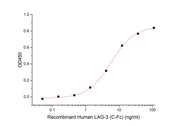 Recombinant Human LAG-3 (C-Fc)