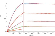 Recombinant Mouse BCMA (C-Fc)