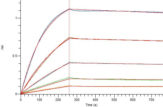 Recombinant Mouse BCMA (C-Fc)