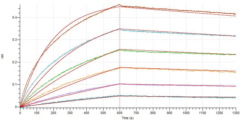Recombinant Human HER2 (C-6His)