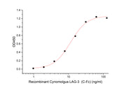 Recombinant Cynomolgus LAG-3 (C-Fc)