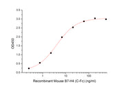 Recombinant Mouse B7-H4 (C-Fc)