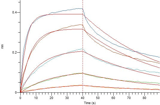 Recombinant Mouse CD16 (C-6His)