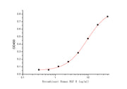 Recombinant Human HGF R (C-6His)