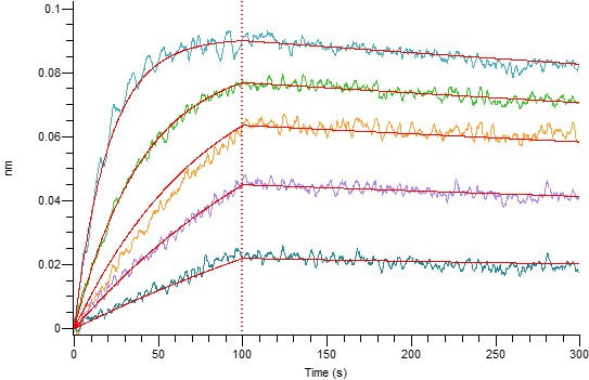 Recombinant Human BCMA (C-Fc)