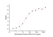 Recombinant Human CD24 (S44T, C-Fc)