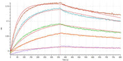 Recombinant Human PD-1 (C-6His)