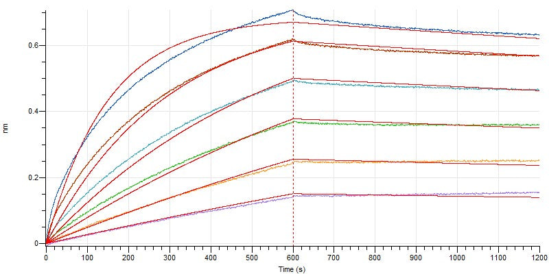 Recombinant Cynomolgus TIM-3 (N-8His)