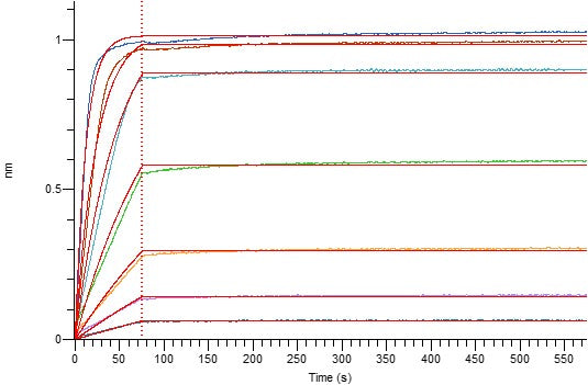 Recombinant Human APRIL (N-Flag-His)