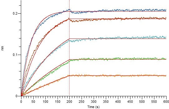 Recombinant Human BCMA (C-mFc)
