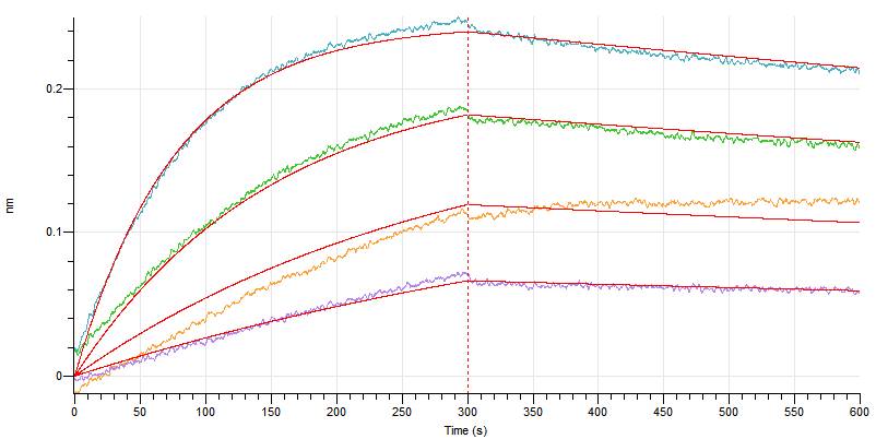 Recombinant Human Siglec-15 (C-6His)