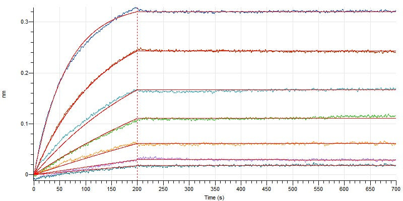 Recombinant Human/Cynomolgus CD28 (C-mFc)