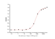 Recombinant Cynomolgus GITR Ligand (C-6His)