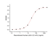 Recombinant Human LAG-3 (C-mFc)