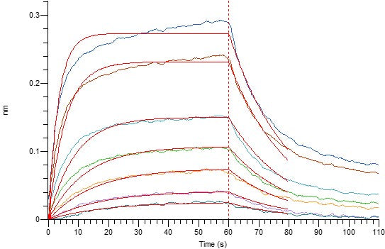 Recombinant Human CD40 (C-mFc)