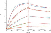 Recombinant Human CD40L (N-6His)