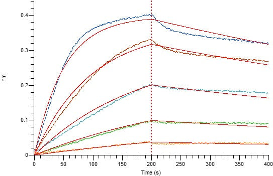 Recombinant Human CD40L (N-6His)