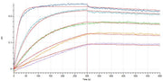 Recombinant Mouse Siglec-15 (C-6His)