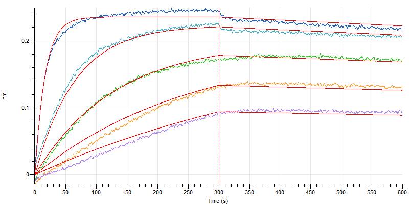 Recombinant Mouse Siglec-15 (C-6His)