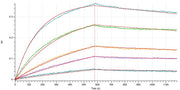 Recombinant Human Nectin-4 (C-Fc)