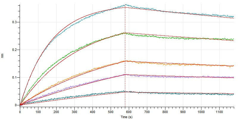 Recombinant Human Nectin-4 (C-Fc)