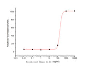 Recombinant Human IL-23 (C-Fc)