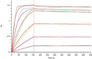 Biotinylated Human LAG-3 (C-6His-Avi)