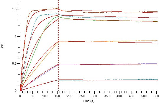 Biotinylated Human LAG-3 (C-6His-Avi)