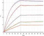 Biotinylated Human Siglec-2 (C-6His-Avi)