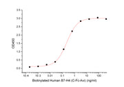 Biotinylated Human B7-H4 (C-Fc-Avi)
