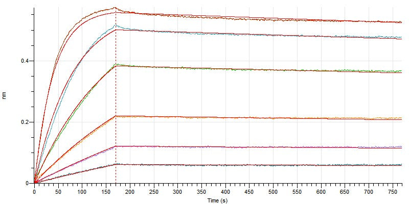 Biotinylated Human CD47 (C-Avi-6His)