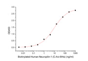 Biotinylated Human Neuropilin-1 (C-Avi-6His)