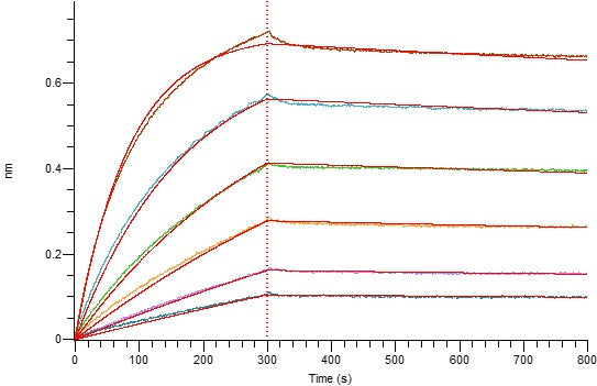 Biotinylated Human TROP-2 (C-Avi-6His)