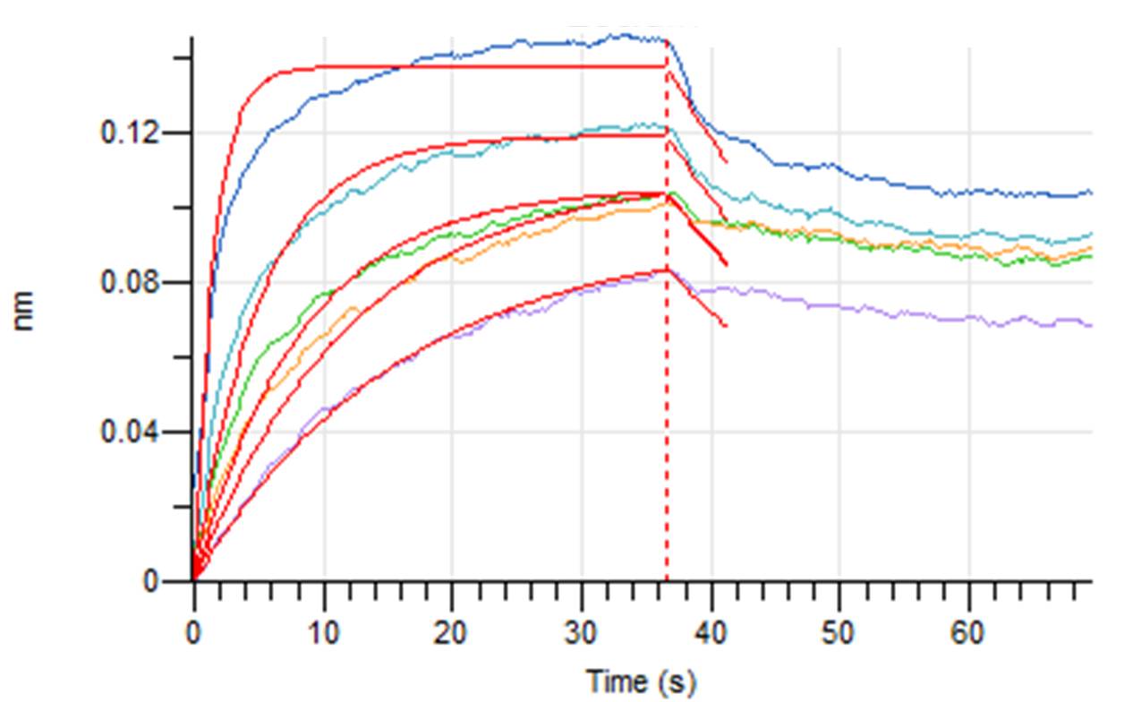 Biotinylated Human Nectin-2 (C-6His-Avi)